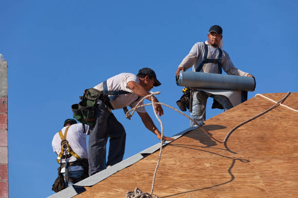 Best Commercial Roofing Services  in Raymondville, TX