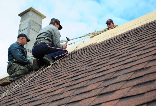 Best Roof Repair Services  in Raymondville, TX
